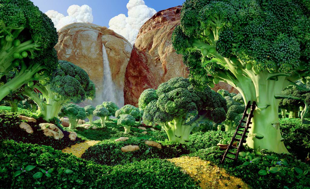Broccoli Forest Carl Warner